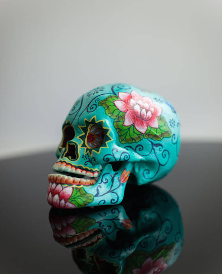 TURQUOISE LOTUS POD SKULL | MILLY + EUGENE | BackstreetShopper.com.au