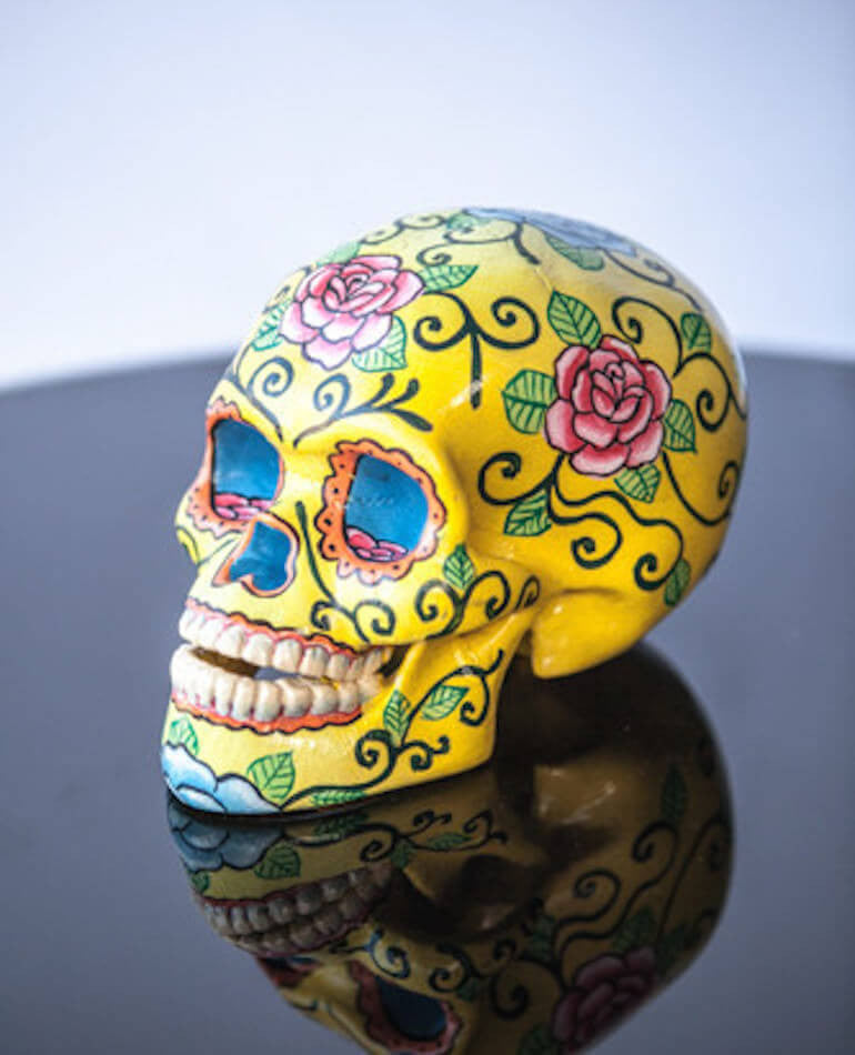 YELLOW ROSE LOTUS POD SKULL | MILLY + EUGENE | BackstreetShopper.com.au