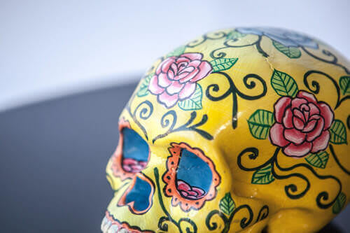 YELLOW ROSE LOTUS POD SKULL | MILLY + EUGENE | BackstreetShopper.com.au