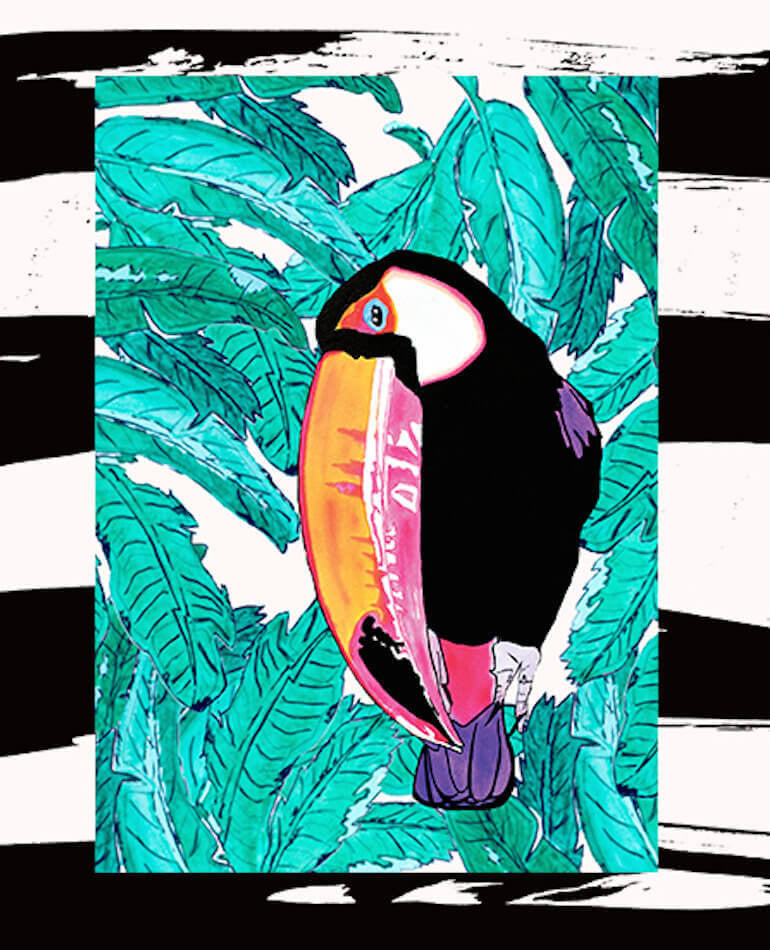Peppa Hart | Sally Toucan Art Print | BackstreetShopper.com.au